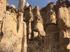 -元谋土林景区(物茂土林)