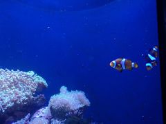 -成都浩海立方海洋公园