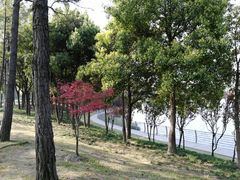 -美兰湖景区