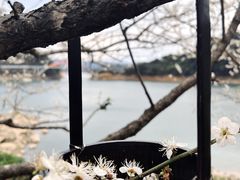 -广州市流溪河国家森林公园