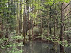 -山王坪喀斯特国家生态公园