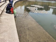 -新江湾城公园