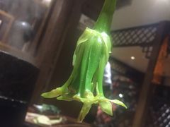-滇藏石锅宴(崇仁巷老店)