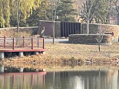 -东郊湿地公园