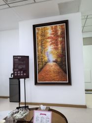 -薇兰专业脱毛连锁机构