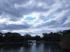 -北陵公园