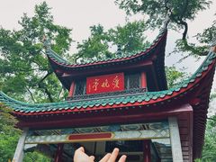 -万泊酒店(长沙五一广场国金中心店)