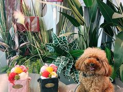 -哈根达斯(南京德基广场店)