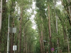 -南国桃园旅游度假区