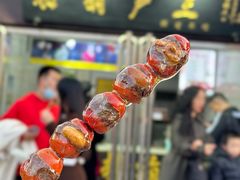 -糖葫芦王保定名吃(古莲花池店)