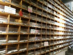 -猫的天空之城概念书店(西塘古镇店)