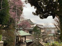 -上野公园花园稻荷神社(忍岡稲荷神社)
