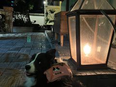 -樹下遇见树·咖啡