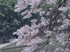 -成都市活水公园