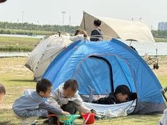 -春花秋色城市公园
