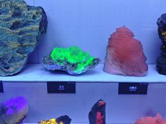 -湖南省地质博物馆