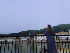 -圣爵菲斯大酒店(长沙世界之窗店)