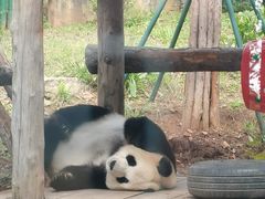 -大连森林动物园