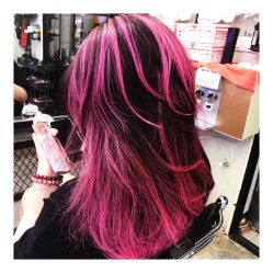 -SALON V
