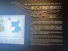 -自贡恐龙博物馆