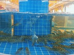 -鑫紫玉食府·巴特私房菜
