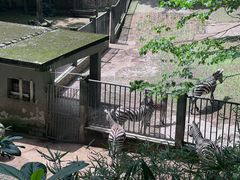 -杭州动物园