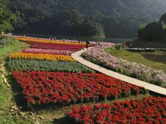 -广州市石门国家森林公园