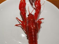 贵妃虾-0574龙虾的故事(东裕店)