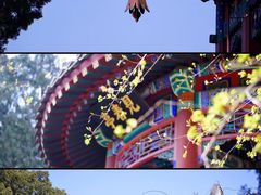 -北海公园