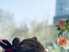 -花与咖啡馆(金星楼店)