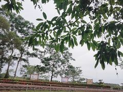 -侯臣咖啡文化村