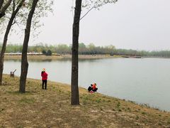 -东郊湿地公园