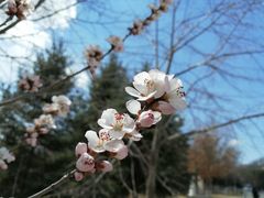 -长春世界雕塑园冰雪艺术天地