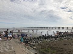 -南汇嘴观海公园