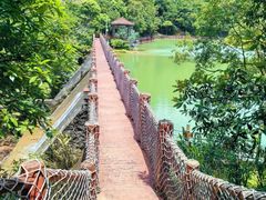 -广州白江湖森林公园