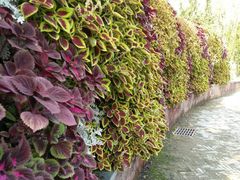 -武清南湖绿博园