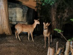 -宁波野生动物园