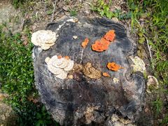 -严子陵钓台(富春江小三峡)