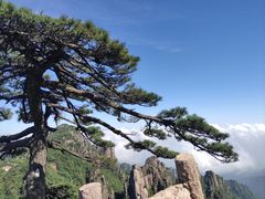 -MOSSO德国餐厅·音乐酒吧(环宇荟店)