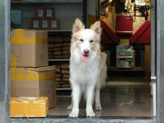 -豆舞咖啡(民乐路店)