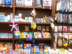 -宠爱国际动物医院· 猫科· 外科·中兽医(长白店)