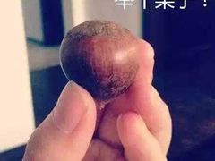 -春天烤肉自助餐厅(南内环店)