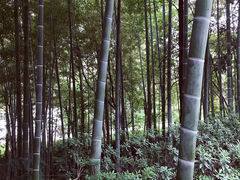 -故乡缘·香格里拉山庄(冷竹路店)