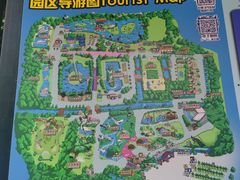 -广州长隆飞鸟乐园