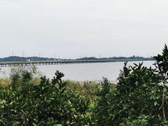 -张公山寨景区