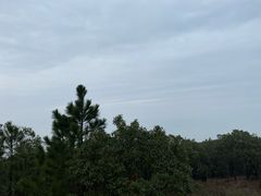 -雨花胜境