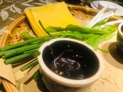 -孙大厨鸽子馆(三元店)
