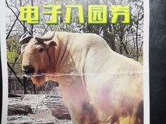 -秦皇岛野生动物园