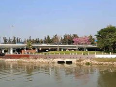 -深圳湾公园(南山区)