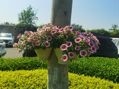 -静之湖湖畔餐厅